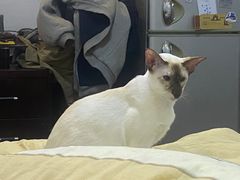 -农家飘香卤味砂锅(三角地店)