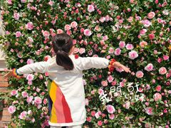 -证大大拇指广场(芳甸路店)