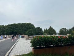 -海珠湖公园