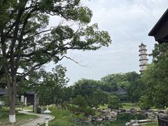 -江心屿景区