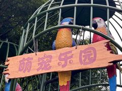 -成都欢乐谷
