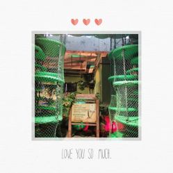 -恐龙探索乐园(磁器口店)