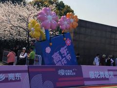 -高东镇樱花园