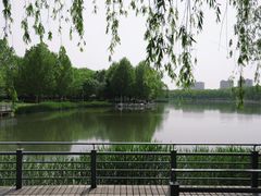 -大兴滨河森林公园