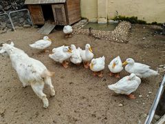 -HERRE·FARM 赫尔露营农场·团建聚会包场