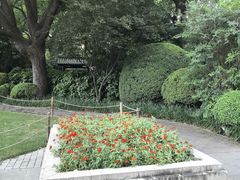 -静安公园(静安寺街道)
