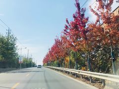 -北京上方山国家森林公园