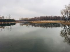 -大兴滨河森林公园