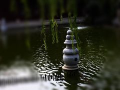 -檀园