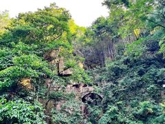 -莫干山风景区