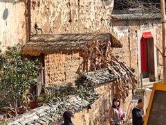-杨家堂村