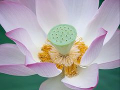 -沐仙湖湿地公园