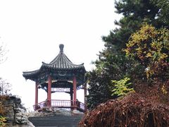 -大兴滨河森林公园