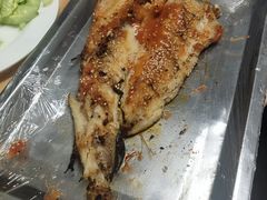 鳕鱼-小老虎