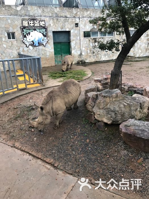 無錫動物園·太湖歡樂園圖片 - 第2張