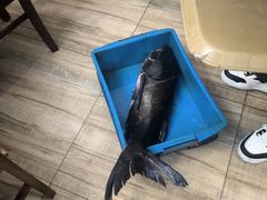 -旭龙鱼头王(航华店)