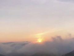 -武陵山森林公园