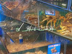 -范饭椰林川湘味海鲜·椰子鸡(三亚湾椰梦长廊店)