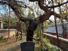 -泰山风景名胜区-普照寺