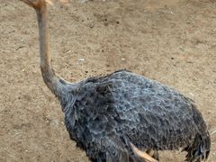 -昆明动物园