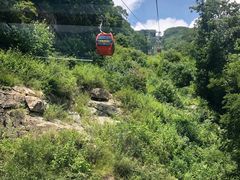 -牛背梁国家森林公园