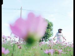 -无锡新湖铂尔曼大酒店