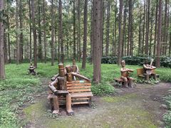 -黄海国家森林公园