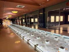 -青岛贝壳博物馆