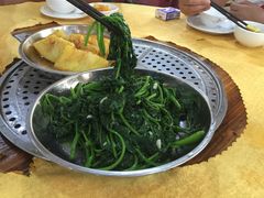 番薯叶-蚝专家(北滘店)