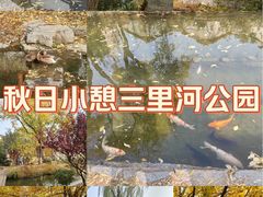 -三里河公园