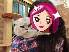 -more than meow吴止猫主题餐厅(承德 中船汇店)