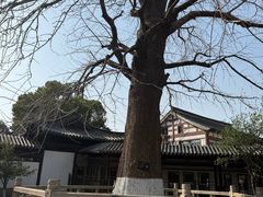 -常熟方塔园