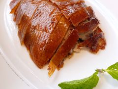 -悦泰环球美食自助(金茂旗舰店)