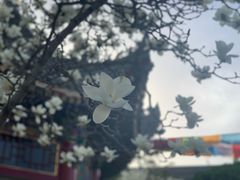 -西安市广仁寺