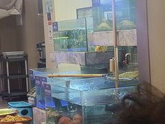 -鱼你相聚·河鲜馆(袁家岭店)
