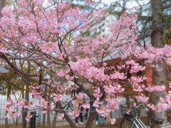 -秋叶原电器街