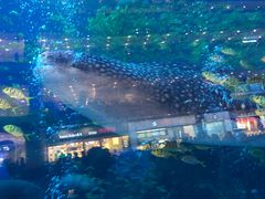 -成都浩海立方海洋公园