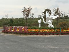 -盐城丹顶鹤湿地生态旅游区