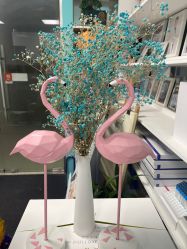 -斐尔国际皮肤管理中心