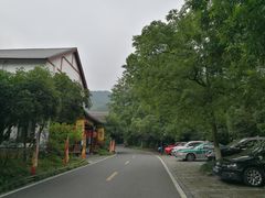 -龙井村