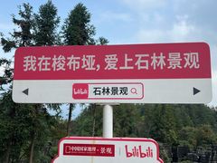 -梭布垭石林景区