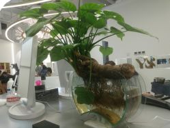 -MYYF SALON烫发染发