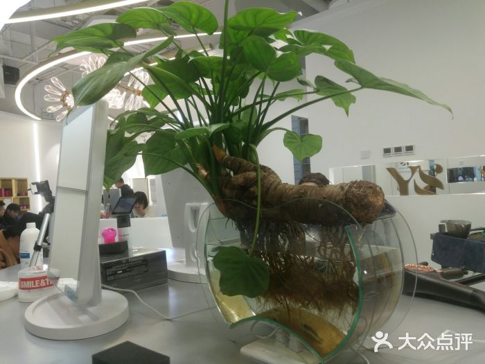 MYYF SALON烫发染发图片