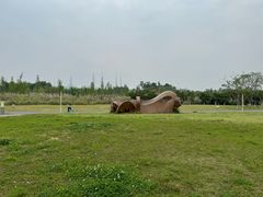 -白鹭湾湿地公园