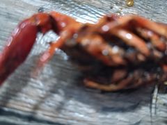 -汉虾王.小龙虾.武汉菜.粤菜(科技园店)