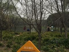 -世纪公园-1号门停车场