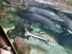 -太平洋海底世界