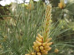 -北京宽沟会议中心