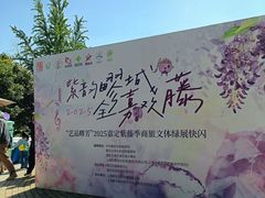 -嘉定紫藤园