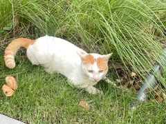 -怎生书(云之园店)